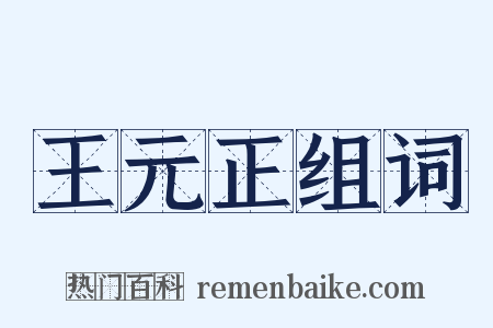 王元正组词是什么意思的图片